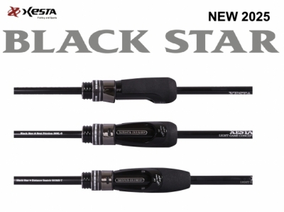 Спининг Xesta 25 Black Star 2025