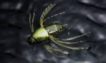 Воблер Jackall Chubby Bug 35