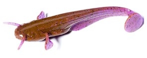 Купить силикон FishUp Catfish