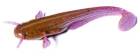 Силікон FishUp Catfish