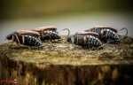 Воблер Imago Maybug