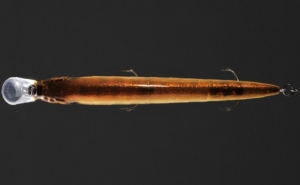 Воблер Megabass Ito Shiner