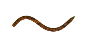 Силікон Reins Swamp Micro