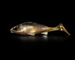 Силікон ANGRY Ruffe RU-100-R-NTA