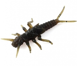 Силікон FishUp Stonefly(личинка веснянки)