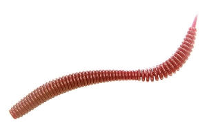 Силикон Vagabond Worms Air Bait Slim